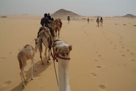 Psyched in the Desert in Morocco & Egypt